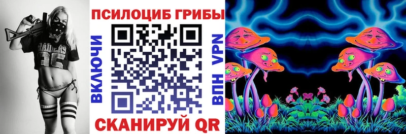 Купить закладки  Златоуст  Галлюциногенные грибы мицелий 