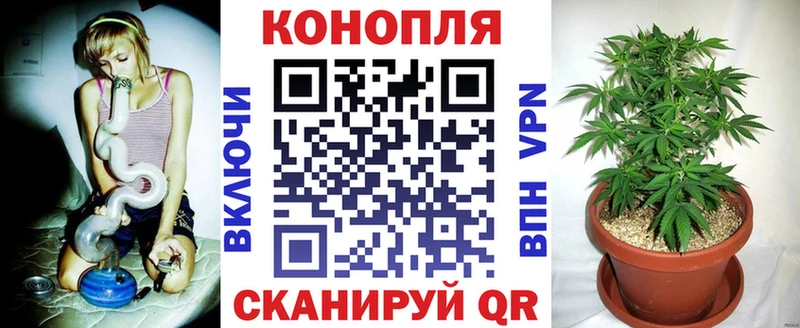 Конопля THC 21%  Купить  Златоуст 